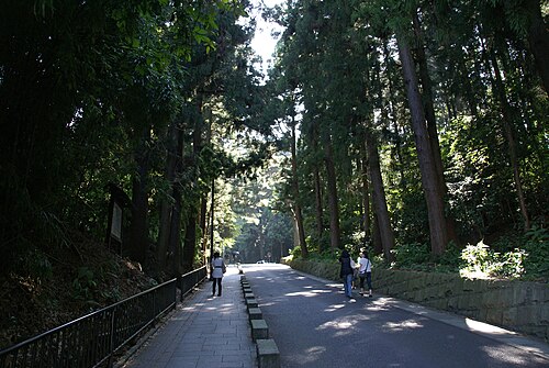 伊達政宗はなぜ慶長遣欧使節を送ったのか？海の向こうに探した可能性